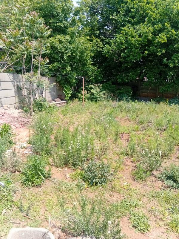 To Let 3 Bedroom Property for Rent in Sasolburg Free State